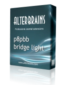 p8pBB bridge light